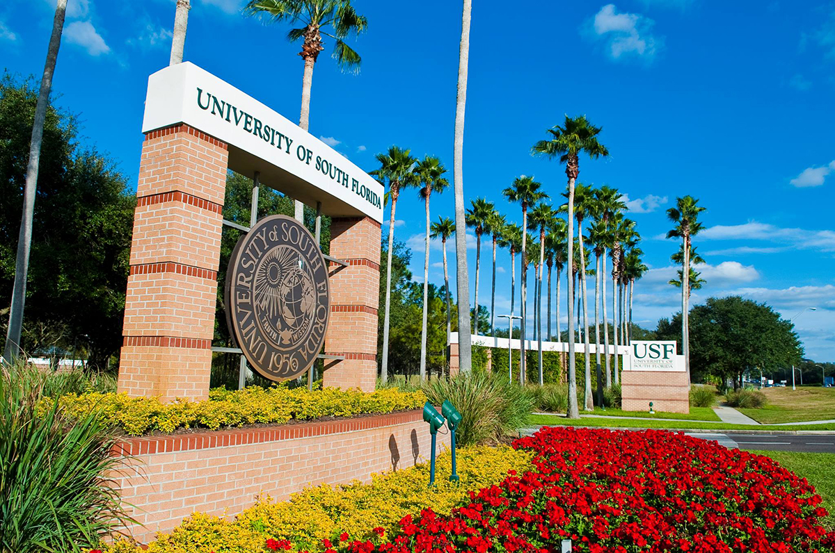 USF graduate programs rank among the best in the country The Crow's Nest
