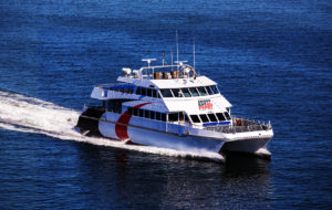 Ferry Exciting: The Cross-Bay Ferry will launch as a pilot program in November. It will go back and forth between St. Petersburg and Tampa. Tickets are set to go on sale Oct. 15 and will cost $10 in each direction. 