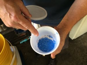 Blue Magic: Herzhauser used this blue chemical fly bait to attract flies. Timothy Fanning | The Crow’s Nest